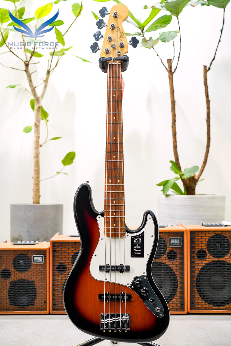 Fender Mexico Player Series Jazz Bass V-3TSB w/Pau Ferro FB (신품) 펜더 멕시코 플레이어 재즈 베이스 5현 - MX23052919