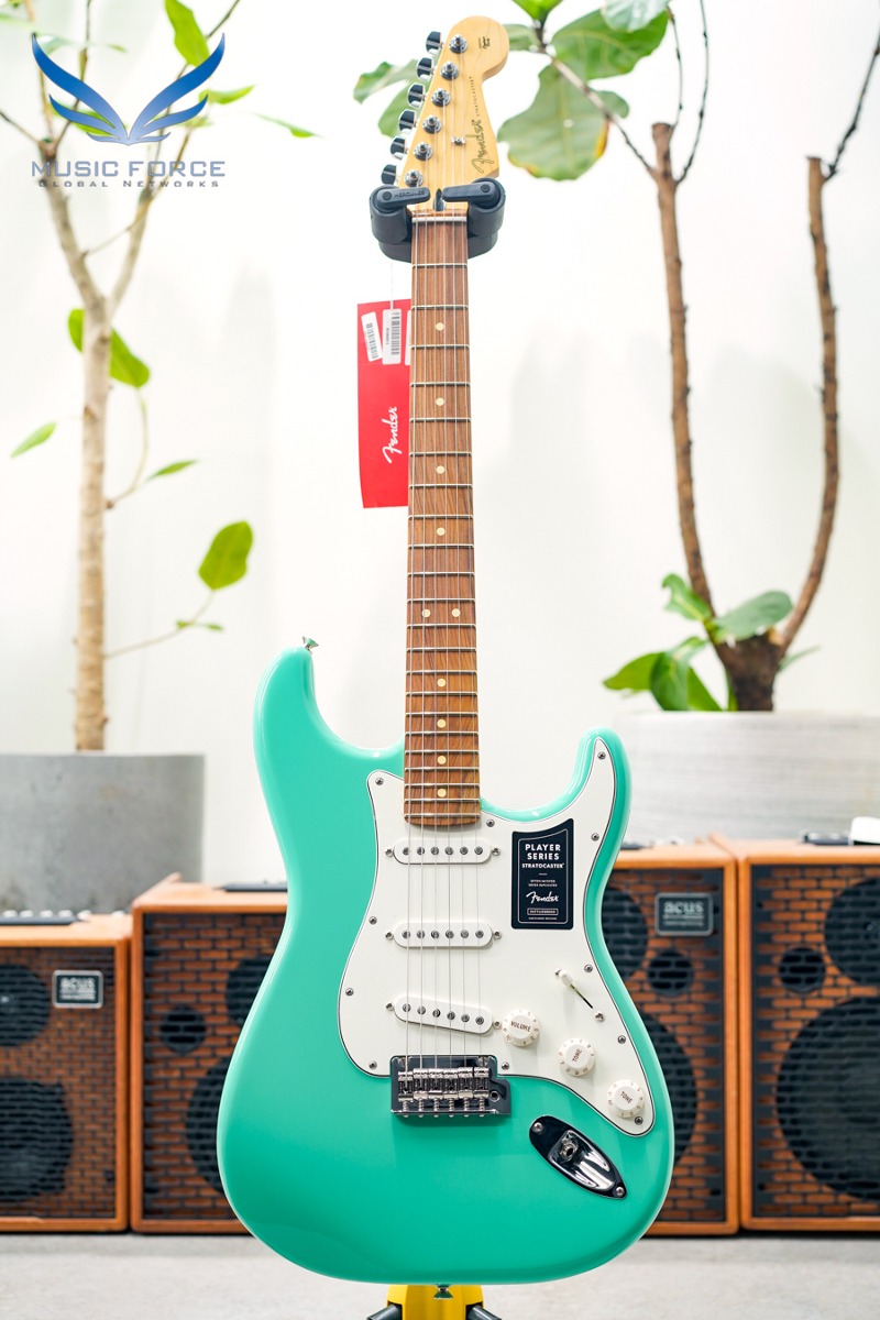 Fender Mexico Player Series Stratocaster SSS-Sea Foam Green w/Pau Ferro FB (신품) 펜더 멕시코 플레이어 스트라토캐스터 - MX23069458
